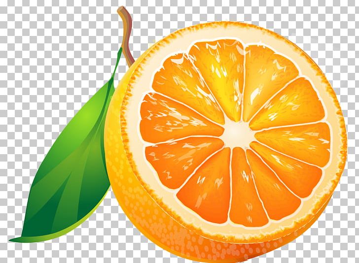 Fruit Orange Tangerine PNG, Clipart, Bitter Orange, Citric Acid, Citrus, Clementine, Coreldraw Free PNG Download