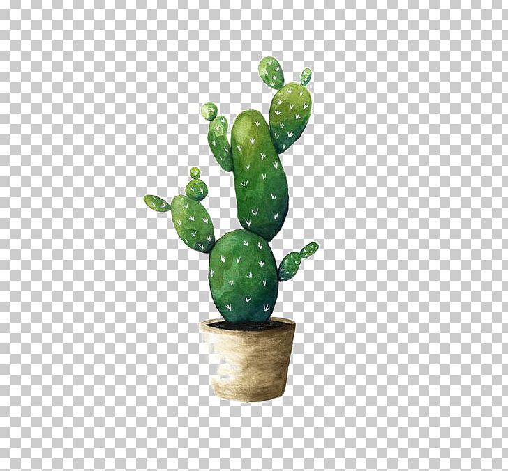 Cactaceae Watercolor Painting Succulent Plant Drawing PNG, Clipart, Barbary Fig, Bonsai, Botanical Illustration, Cactus, Cactus Cartoon Free PNG Download