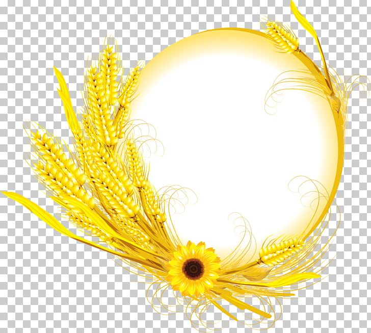 Common Sunflower Wheat PNG, Clipart, Autumn, Clip Art, Commodity, Common Sunflower, Cut Flowers Free PNG Download