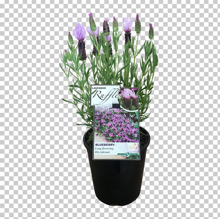 Lavender Flowerpot Artificial Flower Cut Flowers PNG, Clipart, Artificial Flower, Cut Flowers, Flower, Flowering Plant, Flowerpot Free PNG Download