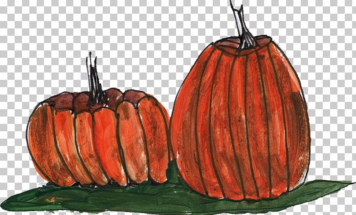 Pumpkin Drawing Line Art Sketch PNG, Clipart, Apple, Calabaza, Cartoon, Coloring Book, Commodity Free PNG Download