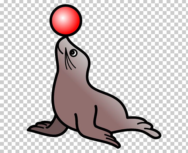 Sea Lion Circus PNG, Clipart, Animal, Animals, Artwork, Atlantic Herring, Beak Free PNG Download