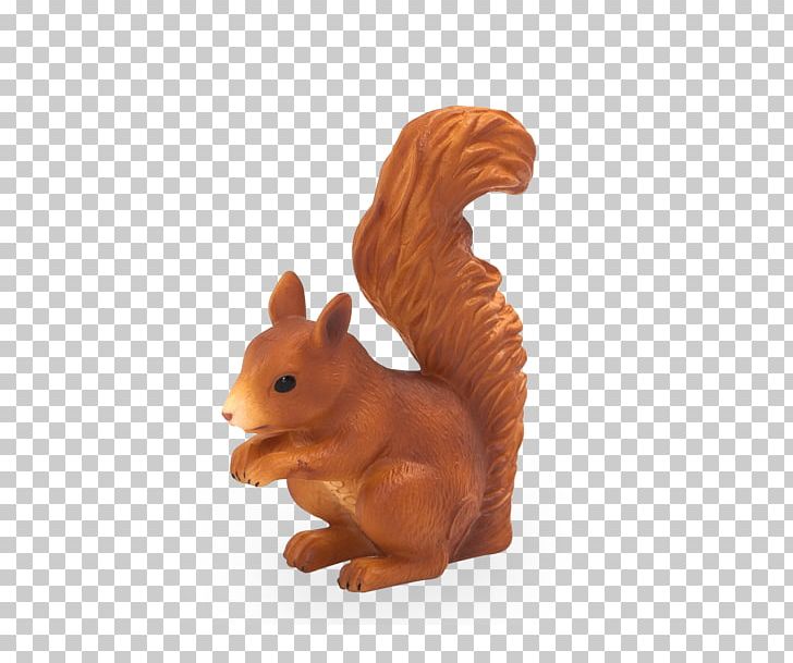 Squirrel Hashtag Tagged Fox Animal PNG, Clipart, Animal, Animal Figure, Animals, Education, Extinct Free PNG Download