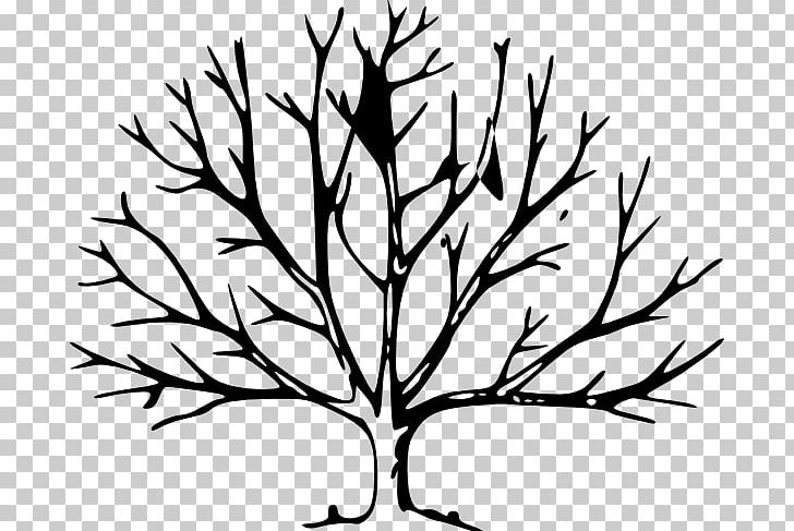 Tree Leaf Trunk Oak PNG, Clipart, Artwork, Autumn, Autumn Leaf Color, Black And White, Branch Free PNG Download