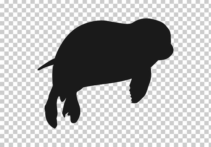 Pinniped Silhouette Harp Seal PNG, Clipart, Animal, Animals, Bear, Black, Black And White Free PNG Download