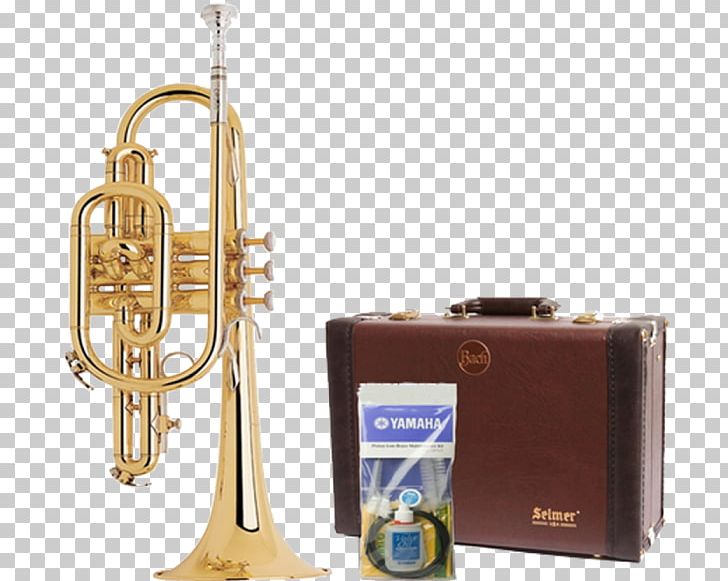 Saxhorn Cornet Trumpet Flugelhorn Bugle PNG, Clipart, Altbasun, Alto Horn, Brass, Brass Instrument, Brass Instruments Free PNG Download