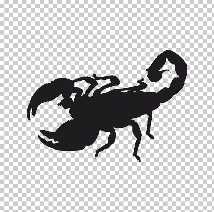Scorpion Sticker Decal Text PNG, Clipart, Antenna, Arthropod, Black And White, Car, Decal Free PNG Download