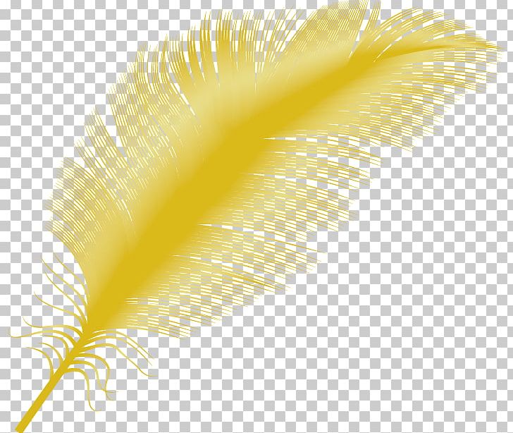 Yellow Feather Close-up PNG, Clipart, Animals, Change, Closeup, Close Up, Decorative Free PNG Download