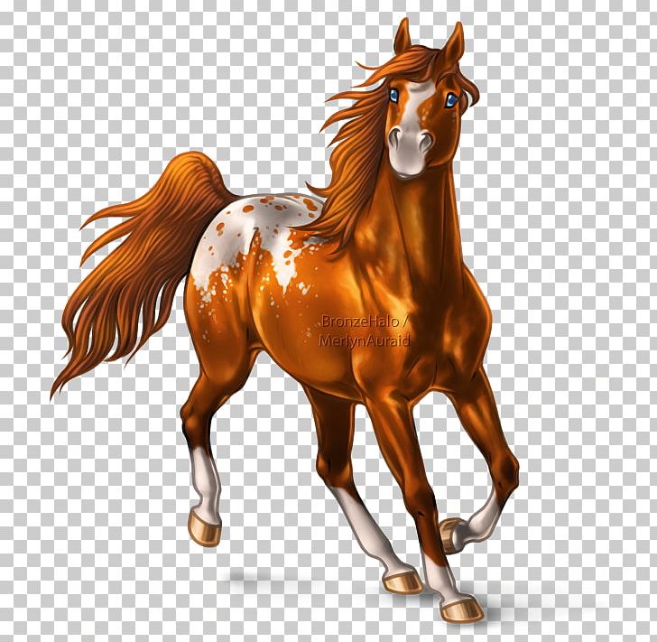 American Paint Horse Mane Mustang Foal Pony PNG, Clipart, American Paint Horse, Animal Figure, Art, Artist, Bridle Free PNG Download