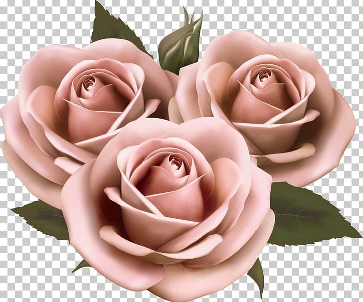 Flower Rose Pink PNG, Clipart, Bright, Cut Flowers, Floral Design, Floristry, Flower Arranging Free PNG Download