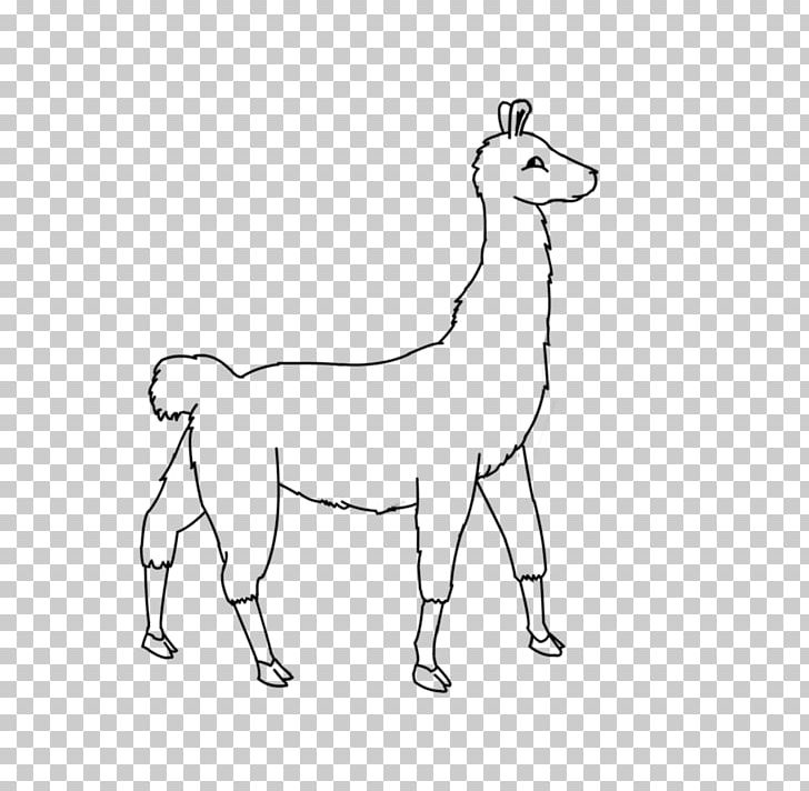 Line Art Giraffe Llama Camel Drawing PNG, Clipart, Angle, Animal Figure, Animals, Area, Artwork Free PNG Download
