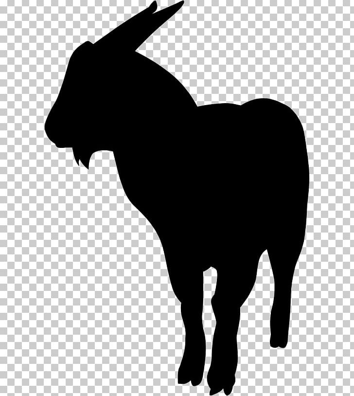 Pygmy Goat Anglo-Nubian Goat Boer Goat Silhouette PNG, Clipart, Animals, Black, Black And White, Bull, Cattle Free PNG Download