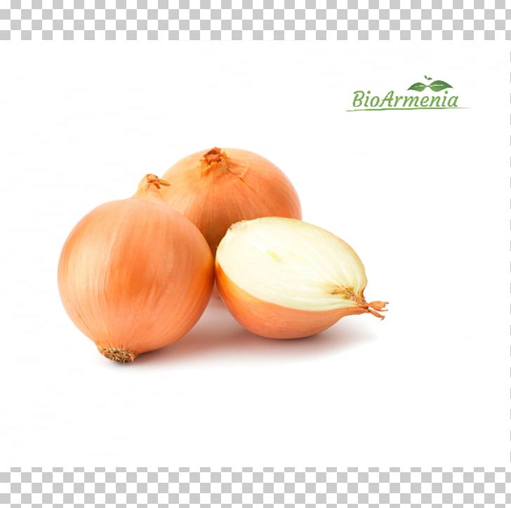 Yellow Onion White Onion Garlic Vegetable Shallot PNG, Clipart, Bell Pepper, Flavor, Food, Garlic, Herb Free PNG Download