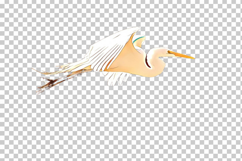 Feather PNG, Clipart, Bird, Ciconiiformes, Egret, Feather, Great Egret Free PNG Download