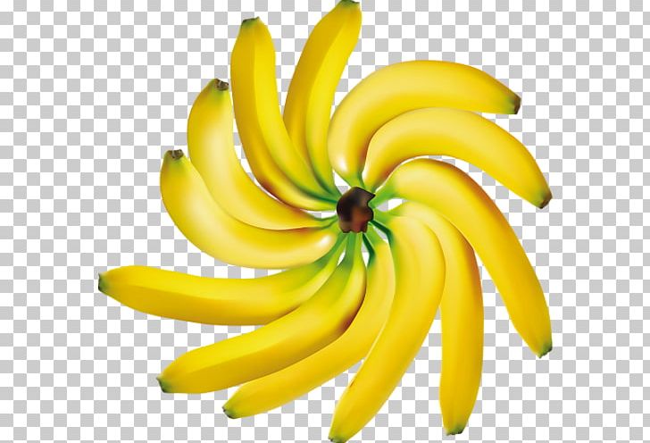 Banana Fruit Banaani PNG, Clipart, Banana, Banana Family, Bananas, Computer Icons, Drawing Free PNG Download