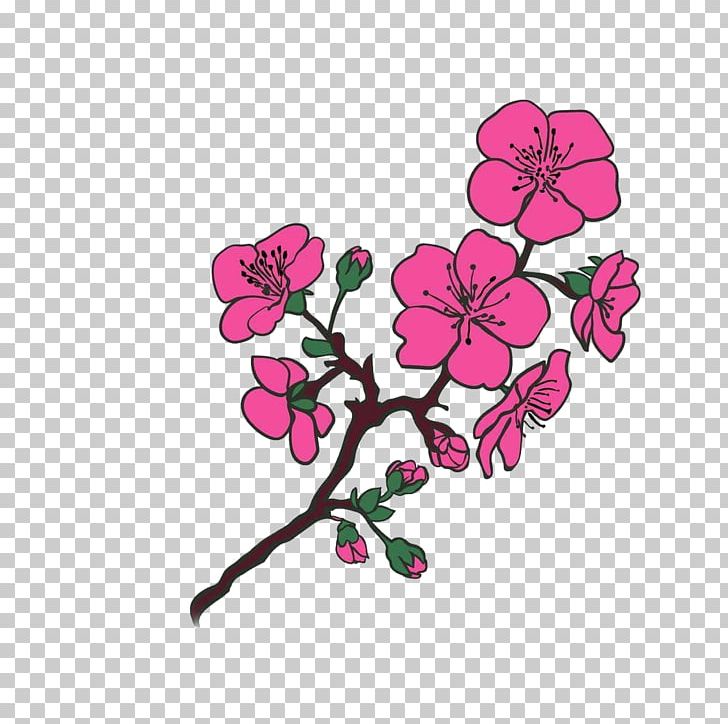 Cherry Blossom Tree Photography PNG, Clipart, Branch, Cartoon, Cherry, Cherry Blossom, Family Tree Free PNG Download
