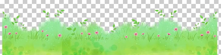 Lawn Wheatgrass Energy Green PNG, Clipart, Background Green, Cartoon, Commodity, Computer, Computer Wallpaper Free PNG Download