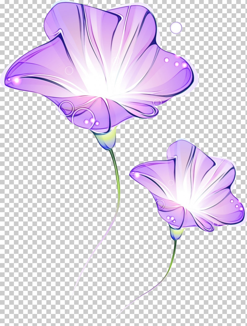 Plant Stem Herbaceous Plant Petal Bellflower Family Morning Glory PNG, Clipart, Bellflower Family, Biology, Herbaceous Plant, Morning Glory, Paint Free PNG Download