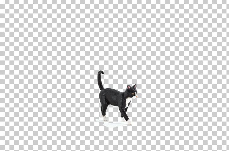 Black Cat Kitten Dog Leash PNG, Clipart, Animal Planet, Animals, Black, Black Cat, Black M Free PNG Download
