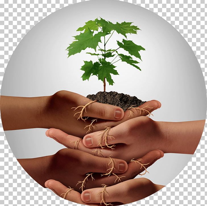 Stock Photography PNG, Clipart, Alamy, Community, Degerler, Finger, Grow Free PNG Download