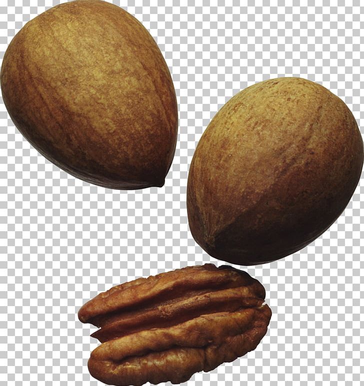 Carrot Cake Nuts Walnut Seed PNG, Clipart, Carrot Cake, Commodity, Cooking, English Walnut, Flour Free PNG Download