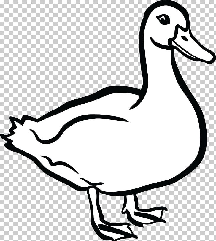 Duck American Pekin Mallard PNG, Clipart, American Pekin, Animals, Artwork, Beak, Bird Free PNG Download