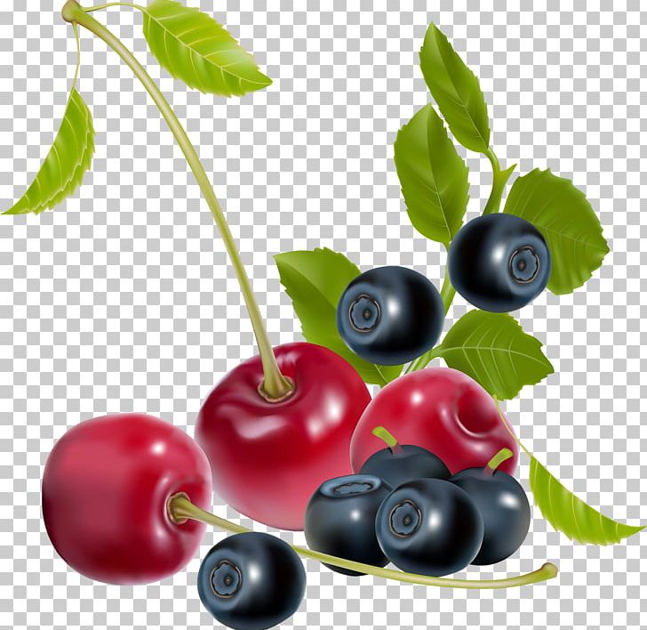 Fruit Berry PNG, Clipart, Art, Berry, Bilberry, Blueberry, Cherry Free PNG Download