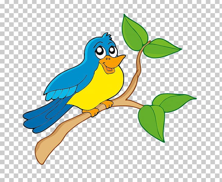 Bird Owl Parrot PNG, Clipart, Animals, Artwork, Beak, Bird, Bird Clipart Free PNG Download