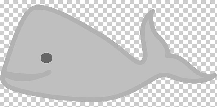 Marine Mammal Cetacea Gray Whale Beluga Whale PNG, Clipart, Angle, Animal, Aquatic Animal, Bathroom Accessory, Beluga Whale Free PNG Download