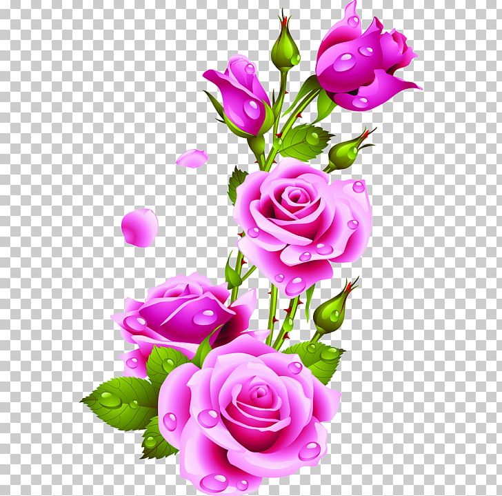 Rose Flower Painting Frames PNG, Clipart, Artificial Flower, Cut Flowers, Decoupage, Drawing, Floral Design Free PNG Download