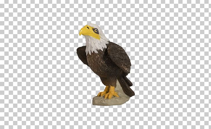 Bald Eagle Yowie Dinosaur Planet National Symbol PNG, Clipart, Accipitriformes, Bald Eagle, Beak, Bird, Bird Of Prey Free PNG Download