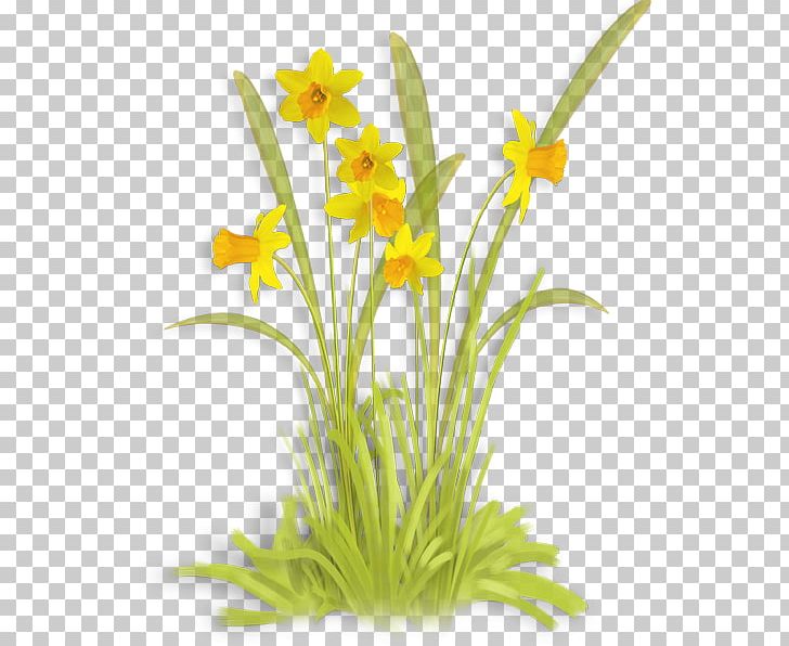 Cut Flowers Petal PNG, Clipart, Amaryllis Family, Cut Flowers, Flower, Flower Bouquet, Flowering Plant Free PNG Download