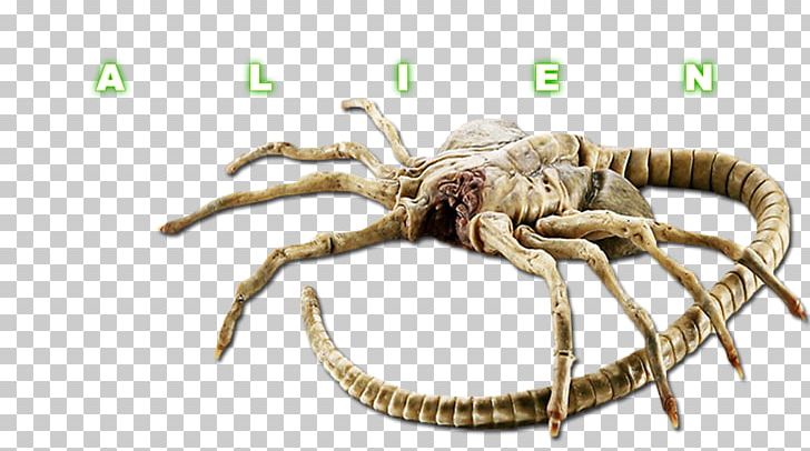 Alien YouTube Extraterrestrial Life Face Hugger Predator PNG, Clipart, Alien, Alien Covenant, Alien Facehugger, Alien Vs Predator, Arthropod Free PNG Download