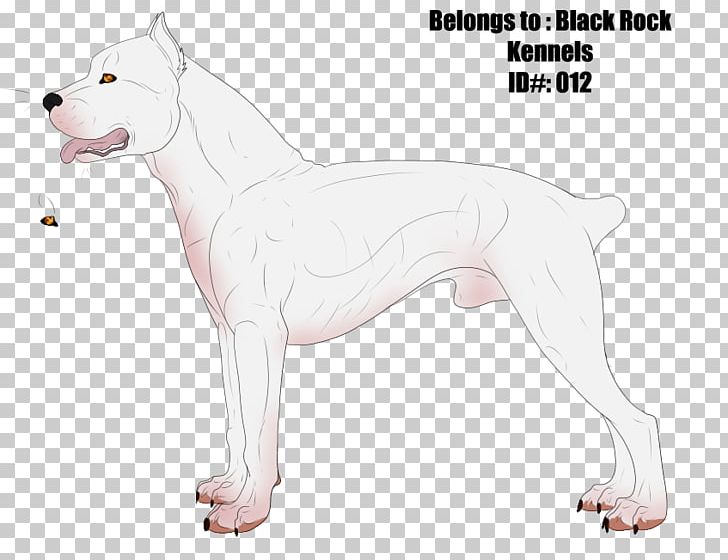 Dogo Argentino Cordoba Fighting Dog Old English Terrier Dog Breed Guatemalan Dogo PNG, Clipart, Argentina, Argentines, Breed, Carnivoran, Cordoba Free PNG Download
