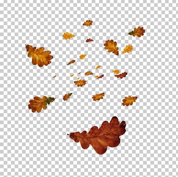 Photography PNG, Clipart, Albom, Autumn Leaves, Banana Leaves, Cartoon, Creativity Free PNG Download