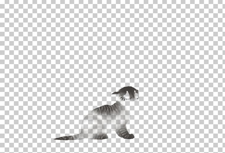 Whiskers Kitten Dog Paw Canidae PNG, Clipart, Animals, Black And White, Canidae, Carnivoran, Cat Free PNG Download