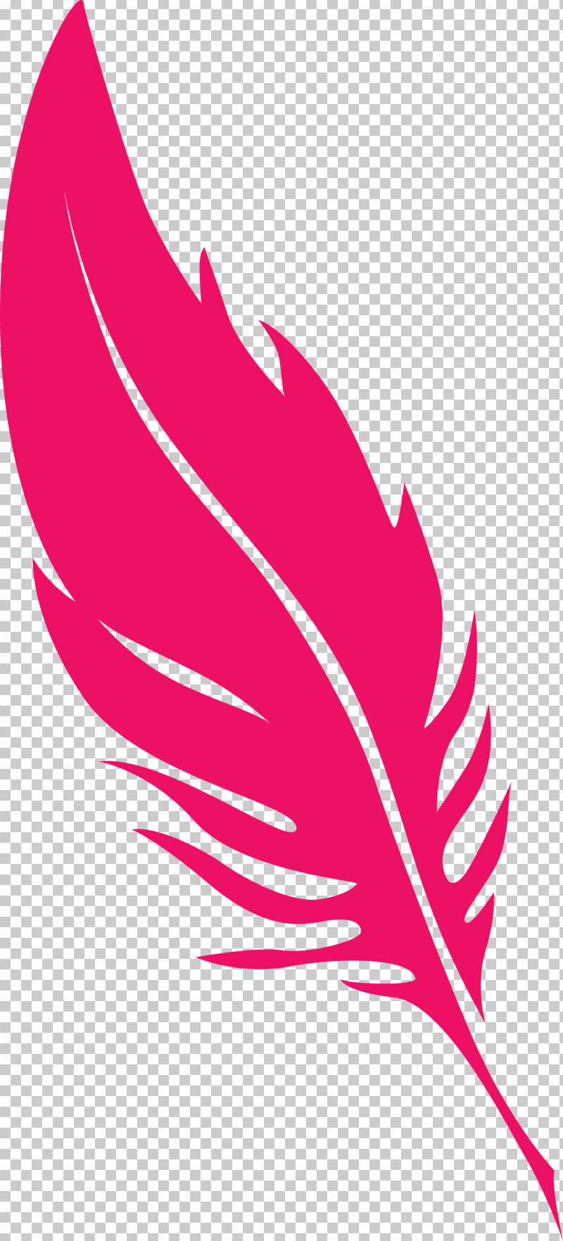 Feather PNG, Clipart, Biology, Feather, Leaf, Line, Meter Free PNG Download