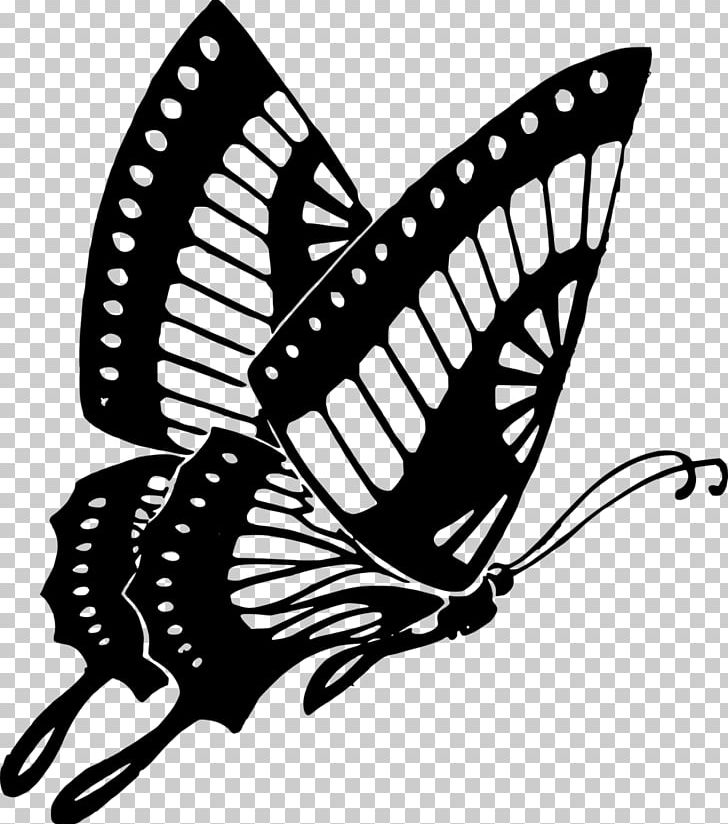 Butterfly PNG, Clipart, Arthropod, Black, Black Butterfly, Brush Footed Butterfly, Butterfly Free PNG Download