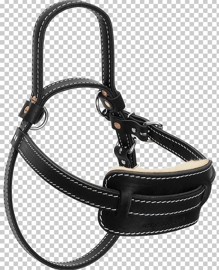 Dog Harness Guide Dog Mobility Assistance Dog Horse Harnesses PNG, Clipart, Animals, Assistance Dog, Disability, Dog, Dog Harness Free PNG Download