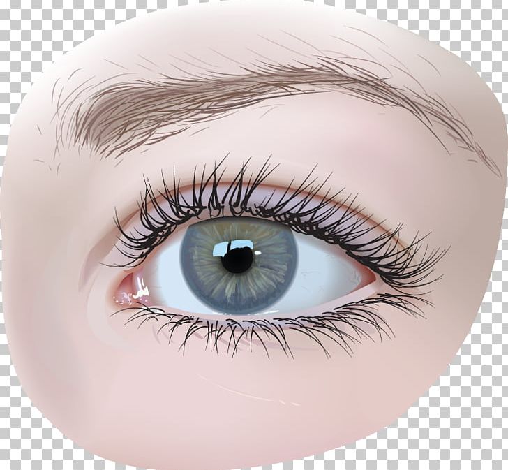 Eye Iris Surgery PNG, Clipart, Closeup, Color, Download, Eye, Eyebrow Free PNG Download