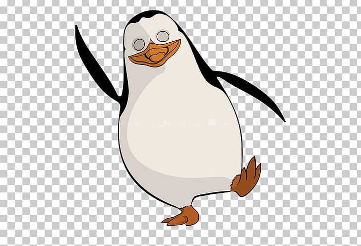 Penguin Desktop PNG, Clipart, Animals, Animated Film, Artwork, Beak, Bird Free PNG Download