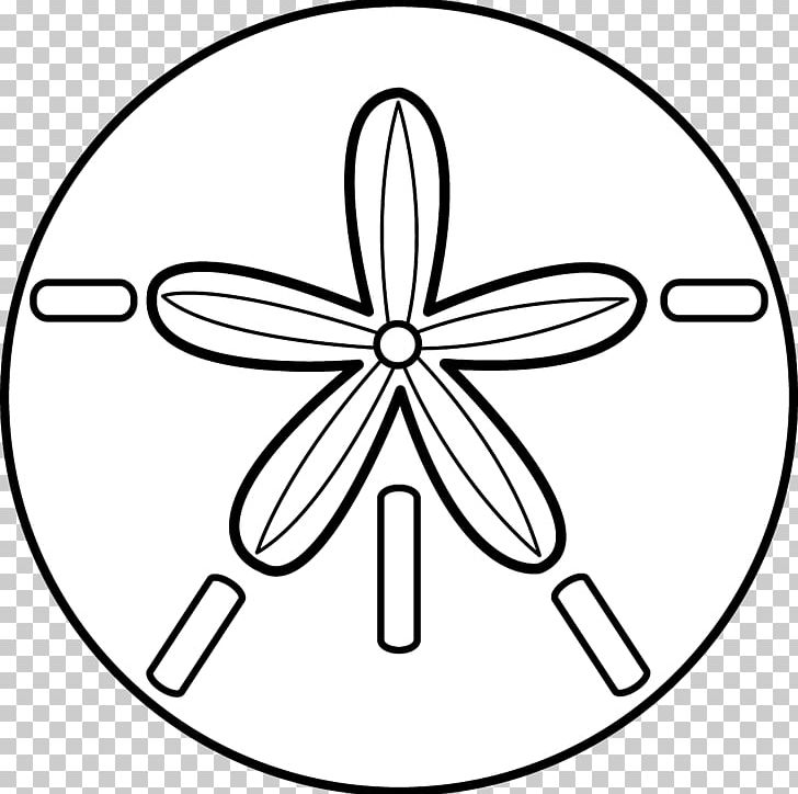 Sand Dollar Seashell Sea Urchin PNG, Clipart, Angle, Area, Black And White, Blog, Circle Free PNG Download