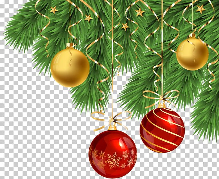 Christmas Ornament Christmas Tree Christmas Decoration PNG, Clipart, 25 December, Ball, Balls, Bass Decor Srl, Branch Free PNG Download