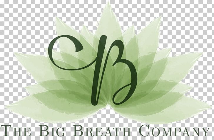 Driving Phobia The Big Breath Company Limited Fear Stress PNG, Clipart, Anxiety, Bad Breath, Brand, Computer Wallpaper, Driving Phobia Free PNG Download
