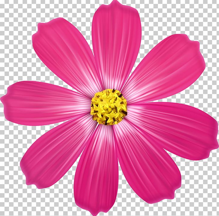 Pink Flowers PNG, Clipart, Annual Plant, Cosmos, Cut Flowers, Daisy Family, Flower Free PNG Download