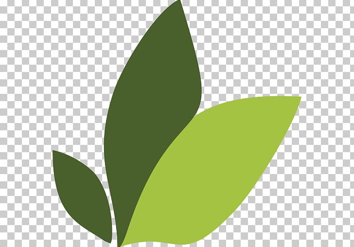 Salam Tani Indramayu Regency Agriculture Leaf Rural Tourism PNG, Clipart, Agriculture, Grass, Green, Indonesia, Indramayu Regency Free PNG Download