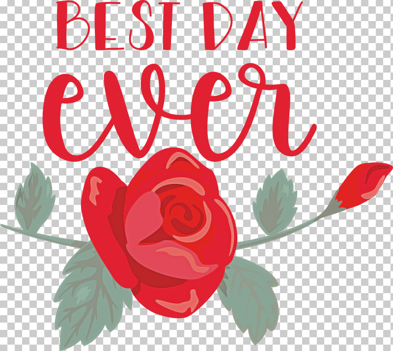 Best Day Ever Wedding PNG, Clipart, Best Day Ever, Cut Flowers, Floral Design, Garden Roses, Necklace Free PNG Download