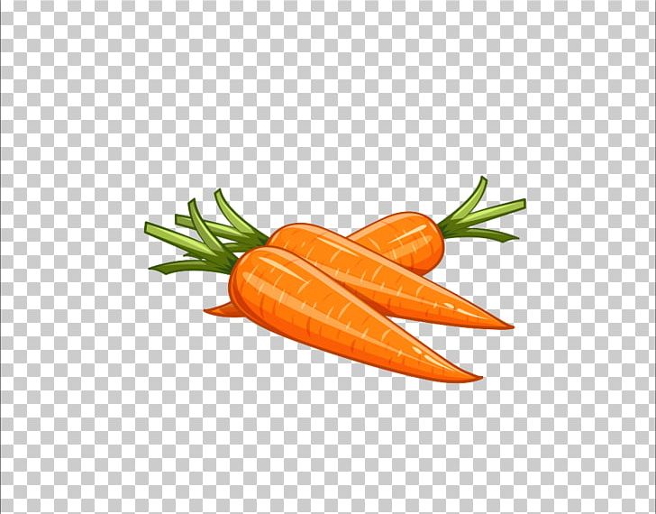 Carrot Drawing Illustration PNG, Clipart, Baby Carrot, Carrot, Drawing, Encapsulated Postscript, Food Free PNG Download