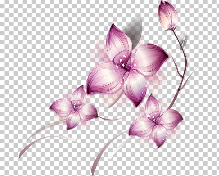Flowers Purple Group PNG, Clipart, Flowers, Nature, Various Free PNG Download
