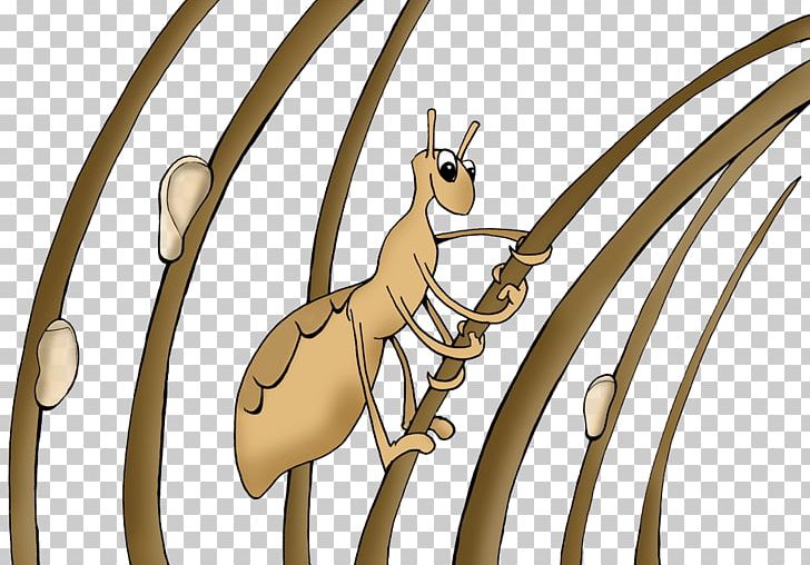 Head Louse Insect Liendre Child PNG, Clipart, Animal, Animals, Carnivoran, Cartoon, Child Free PNG Download